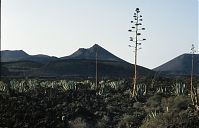 Spanien-Kanarische-Lanzarote-Feuerberge-199311-109.jpg