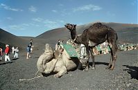 Spanien-Kanarische-Lanzarote-Feuerberge-199311-210.jpg
