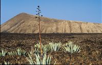 Dateiname=Spanien-Kanarische-Lanzarote-Feuerberge-199411-012.jpg
Dateigröße=271KB
Abmessungen: 880x564
hinzugefügt am: 05. Januar 2016 Spanien-Kanarische-Lanzarote-Feuerberge-199411-012.jpg