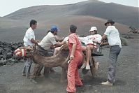 Dateiname=Spanien-Kanarische-Lanzarote-Feuerberge-199411-238.jpg
Dateigröße=187KB
Abmessungen: 880x586
hinzugefügt am: 05. Januar 2016 Spanien-Kanarische-Lanzarote-Feuerberge-199411-238.jpg