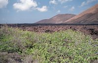 Dateiname=Spanien-Kanarische-Lanzarote-Feuerberge-199504-007.jpg
Dateigröße=308KB
Abmessungen: 880x567
hinzugefügt am: 05. Januar 2016 Spanien-Kanarische-Lanzarote-Feuerberge-199504-007.jpg