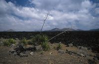 Dateiname=Spanien-Kanarische-Lanzarote-Feuerberge-199504-108.jpg
Dateigröße=184KB
Abmessungen: 880x566
hinzugefügt am: 05. Januar 2016 Spanien-Kanarische-Lanzarote-Feuerberge-199504-108.jpg
