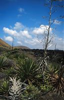 Dateiname=Spanien-Kanarische-Lanzarote-Feuerberge-199504-109.jpg
Dateigröße=235KB
Abmessungen: 566x880
hinzugefügt am: 05. Januar 2016 Spanien-Kanarische-Lanzarote-Feuerberge-199504-109.jpg