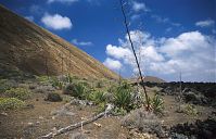 Dateiname=Spanien-Kanarische-Lanzarote-Feuerberge-199504-110.jpg
Dateigröße=244KB
Abmessungen: 880x566
hinzugefügt am: 05. Januar 2016 Spanien-Kanarische-Lanzarote-Feuerberge-199504-110.jpg
