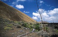 Dateiname=Spanien-Kanarische-Lanzarote-Feuerberge-199504-111.jpg
Dateigröße=237KB
Abmessungen: 880x563
hinzugefügt am: 05. Januar 2016 Spanien-Kanarische-Lanzarote-Feuerberge-199504-111.jpg