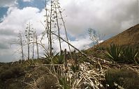 Dateiname=Spanien-Kanarische-Lanzarote-Feuerberge-199504-120.jpg
Dateigröße=239KB
Abmessungen: 880x566
hinzugefügt am: 05. Januar 2016 Spanien-Kanarische-Lanzarote-Feuerberge-199504-120.jpg