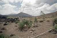 Dateiname=Spanien-Kanarische-Lanzarote-Feuerberge-199504-221.jpg
Dateigröße=240KB
Abmessungen: 880x580
hinzugefügt am: 05. Januar 2016 Spanien-Kanarische-Lanzarote-Feuerberge-199504-221.jpg
