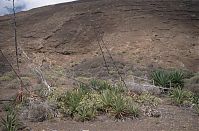 Dateiname=Spanien-Kanarische-Lanzarote-Feuerberge-199504-222.jpg
Dateigröße=285KB
Abmessungen: 880x577
hinzugefügt am: 05. Januar 2016 Spanien-Kanarische-Lanzarote-Feuerberge-199504-222.jpg