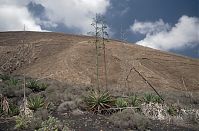 Dateiname=Spanien-Kanarische-Lanzarote-Feuerberge-199504-223.jpg
Dateigröße=236KB
Abmessungen: 880x580
hinzugefügt am: 05. Januar 2016 Spanien-Kanarische-Lanzarote-Feuerberge-199504-223.jpg