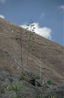 Dateiname=Spanien-Kanarische-Lanzarote-Feuerberge-199504-224.jpg
Dateigröße=184KB
Abmessungen: 578x880
hinzugefügt am: 05. Januar 2016 Spanien-Kanarische-Lanzarote-Feuerberge-199504-224.jpg