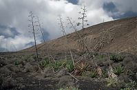 Dateiname=Spanien-Kanarische-Lanzarote-Feuerberge-199504-226.jpg
Dateigröße=223KB
Abmessungen: 880x577
hinzugefügt am: 05. Januar 2016 Spanien-Kanarische-Lanzarote-Feuerberge-199504-226.jpg