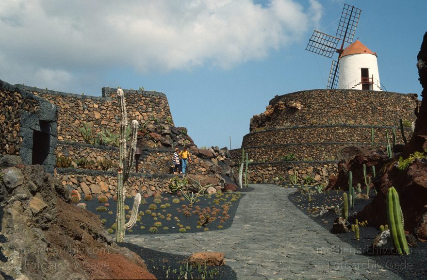 Lanzarote. Guatiza. Kakteengarten. Windmühle
März 1992. Spanien. Kanarische Inseln. Lanzarote. Guatiza. Kakteengarten. Windmühle
Schlüsselwörter: 1992;canarias;Canary Islands;Guatiza;Kakteengarten;Kanarische Inseln;Lanzarote;Spain;Spanien;Windmühle