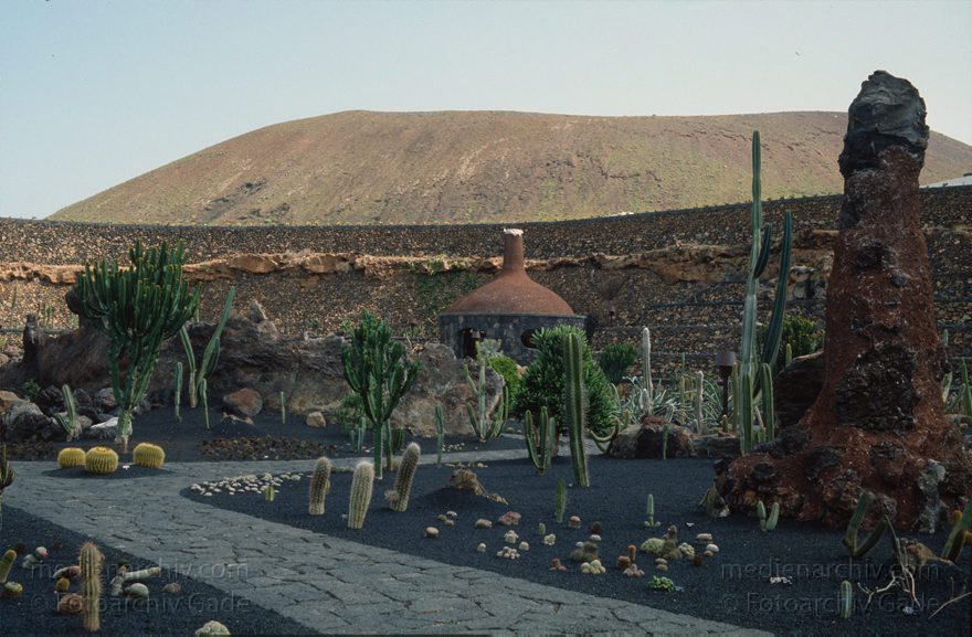 Lanzarote. Guatiza. Kakteengarten
März 1992. Spanien. Kanarische Inseln. Lanzarote. Guatiza. Kakteengarten
Schlüsselwörter: 1992;canarias;Canary Islands;Guatiza;Kakteengarten;Kanarische Inseln;Lanzarote;Spain;Spanien