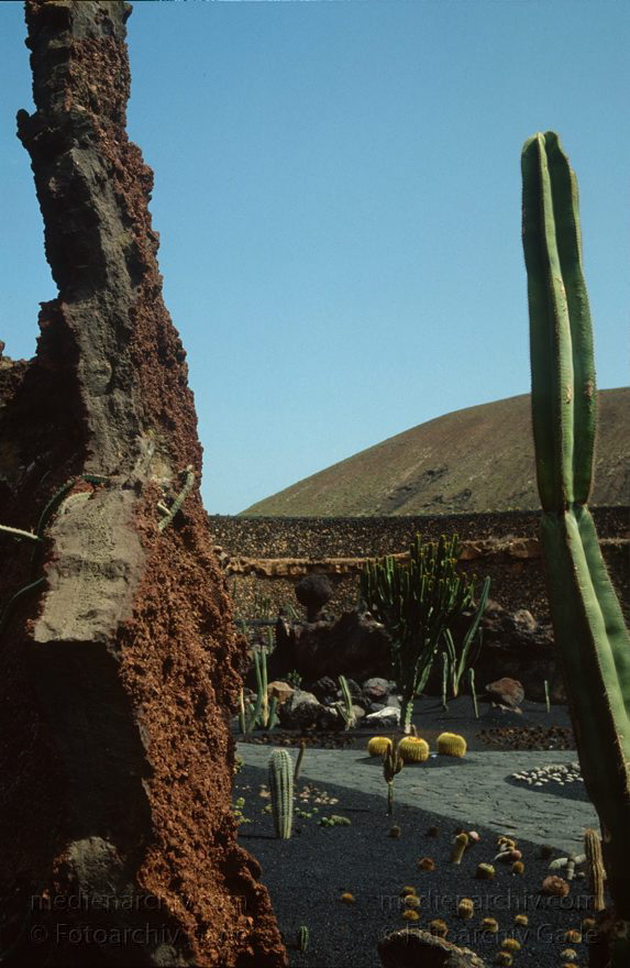 Lanzarote. Guatiza. Kakteengarten
März 1992. Spanien. Kanarische Inseln. Lanzarote. Guatiza. Kakteengarten
Schlüsselwörter: 1992;canarias;Canary Islands;Guatiza;Kakteengarten;Kanarische Inseln;Lanzarote;Spain;Spanien