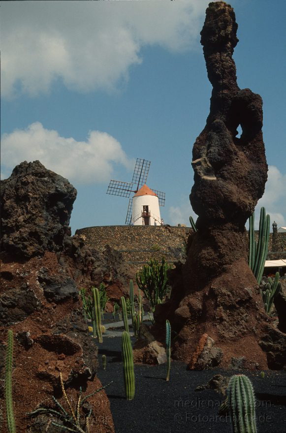 Lanzarote. Guatiza. Kakteengarten
März 1992. Spanien. Kanarische Inseln. Lanzarote. Guatiza. Kakteengarten
Schlüsselwörter: 1992;canarias;Canary Islands;Guatiza;Kakteengarten;Kanarische Inseln;Lanzarote;Spain;Spanien