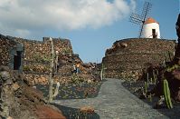 Spanien-Kanarische-Lanzarote-Guatiza-199203-026a.jpg