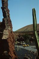 Spanien-Kanarische-Lanzarote-Guatiza-199203-030.jpg