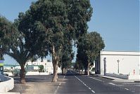 Spanien-Kanarische-Lanzarote-Guatiza-199411-021.jpg