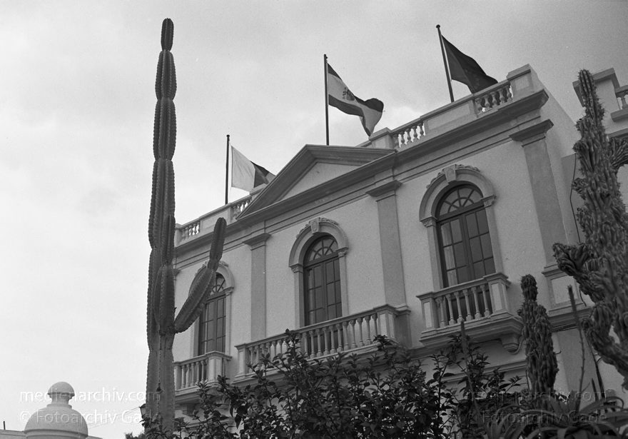 Lanzarote. Haria
4. 3. 1992. Spanien. Kanarische Inseln. Lanzarote. Haria
Schlüsselwörter: 1992;canarias;Canary Islands;Haria;Kanarische Inseln;Lanzarote;Spain;Spanien