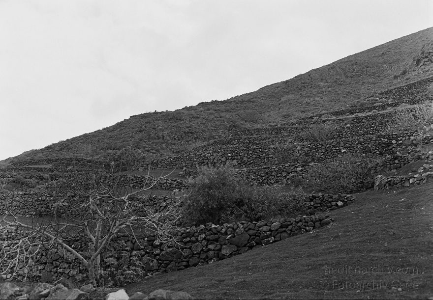 Lanzarote. Haria
4. 3. 1992. Spanien. Kanarische Inseln. Lanzarote. Haria
Schlüsselwörter: 1992;canarias;Canary Islands;Haria;Kanarische Inseln;Lanzarote;Spain;Spanien