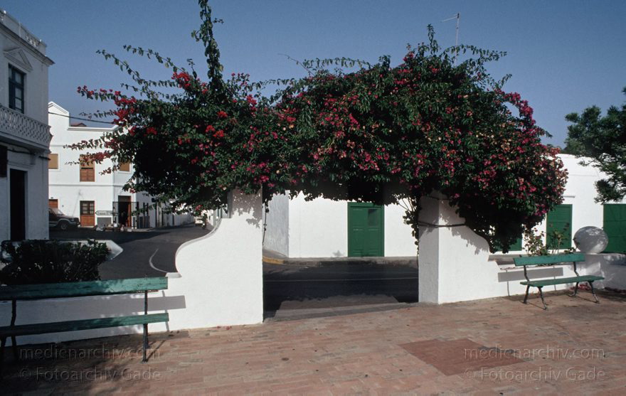 Lanzarote. Haria
Juni 1994. Spanien. Kanarische Inseln. Lanzarote. Haria
Schlüsselwörter: 1994;canarias;Canary Islands;Haria;Kanarische Inseln;Lanzarote;Spain;Spanien