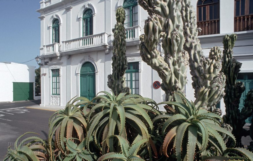 Lanzarote. Haria
Juni 1994. Spanien. Kanarische Inseln. Lanzarote. Haria
Schlüsselwörter: 1994;canarias;Canary Islands;Haria;Kanarische Inseln;Lanzarote;Spain;Spanien