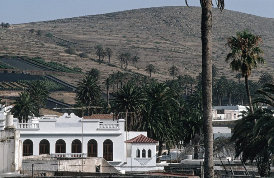 Lanzarote. Haria
Juni 1994. Spanien. Kanarische Inseln. Lanzarote. Haria
Schlüsselwörter: 1994;canarias;Canary Islands;Haria;Kanarische Inseln;Lanzarote;Spain;Spanien