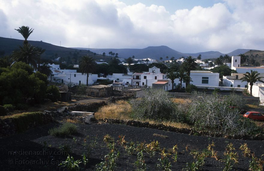 Lanzarote. Haria
April 1995. Spanien. Kanarische Inseln. Lanzarote. Haria
Schlüsselwörter: 1995;canarias;Canary Islands;Haria;Kanarische Inseln;Lanzarote;Spain;Spanien