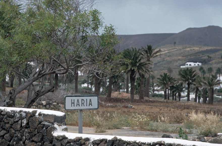 Lanzarote. Haria
November 1995. Spanien. Kanarische Inseln. Lanzarote. Haria
Schlüsselwörter: 1995;canarias;Canary Islands;Haria;Kanarische Inseln;Lanzarote;Spain;Spanien