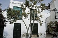 Spanien-Kanarische-Lanzarote-Haria-19920304-116.jpg