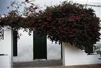 Spanien-Kanarische-Lanzarote-Haria-19920304-119.jpg