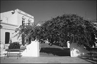 Spanien-Kanarische-Lanzarote-Haria-199311-306.jpg