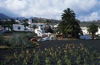 Spanien-Kanarische-Lanzarote-Haria-199504-25.jpg