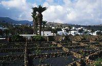 Spanien-Kanarische-Lanzarote-Haria-199504-27.jpg