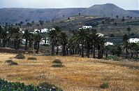 Spanien-Kanarische-Lanzarote-Haria-199504-29.jpg