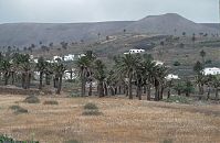 Spanien-Kanarische-Lanzarote-Haria-199511-229.jpg