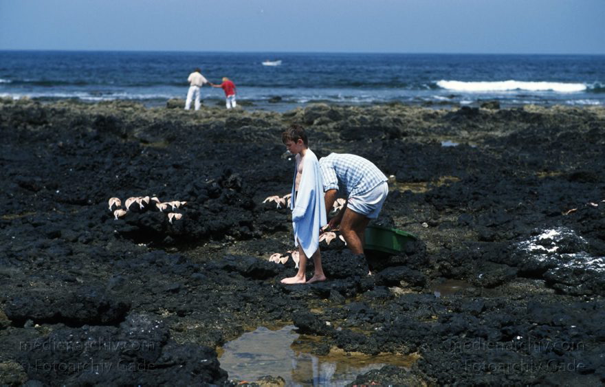 Lanzarote. Famara. La Caleta. Trocknen von Fischen
April 1995. Spanien. Kanarische Inseln. Lanzarote. Famara. La Caleta. Fischerdorf. Ein Fischer legt Fische zum Trocknen aus
Schlüsselwörter: 1995;Canary Islands;Espana;Famara;Islas Canarias;Kanarische Inseln;La Caleta;Lanzarote;Spain;Spanien