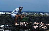 Dateiname=Spanien-Kanarische-Lanzarote-La-Caleta-199504-300.jpg
Dateigröße=154KB
Abmessungen: 880x564
hinzugefügt am: 05. Januar 2016 Spanien-Kanarische-Lanzarote-La-Caleta-199504-300.jpg