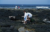 Dateiname=Spanien-Kanarische-Lanzarote-La-Caleta-199504-303.jpg
Dateigröße=204KB
Abmessungen: 880x563
hinzugefügt am: 05. Januar 2016 Spanien-Kanarische-Lanzarote-La-Caleta-199504-303.jpg