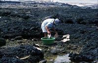 Dateiname=Spanien-Kanarische-Lanzarote-La-Caleta-199504-304.jpg
Dateigröße=275KB
Abmessungen: 880x564
hinzugefügt am: 05. Januar 2016 Spanien-Kanarische-Lanzarote-La-Caleta-199504-304.jpg