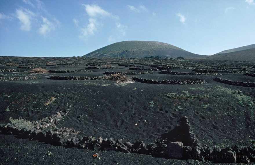 Lanzarote. Famara. La Geria
November 1994. Spanien. Kanarische Inseln. Lanzarote. Famara. La Geria. Bodega. Weinanbau. Winzerei
Schlüsselwörter: 1994;Canary Islands;Espana;Famara;Islas Canarias;Kanarische Inseln;La Geria;Lanzarote;Lava;Spain;Spanien;Weinanbau;Weinreben