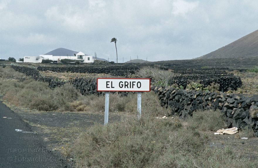 Lanzarote. Famara. La Geria
November 1994. Spanien. Kanarische Inseln. Lanzarote. Famara. La Geria
Schlüsselwörter: 1994;Canary Islands;Espana;Famara;Islas Canarias;Kanarische Inseln;La Geria;Lanzarote;Spain;Spanien