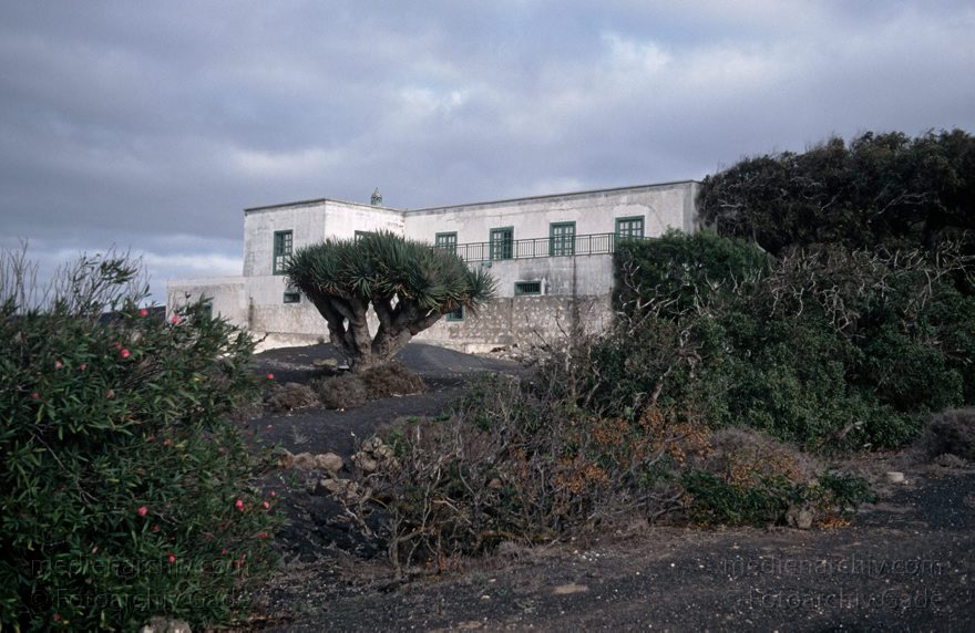 Lanzarote. Famara. La Geria
November 1994. Spanien. Kanarische Inseln. Lanzarote. Famara. La Geria
Schlüsselwörter: 1994;Canary Islands;Espana;Famara;Islas Canarias;Kanarische Inseln;La Geria;Lanzarote;Spain;Spanien