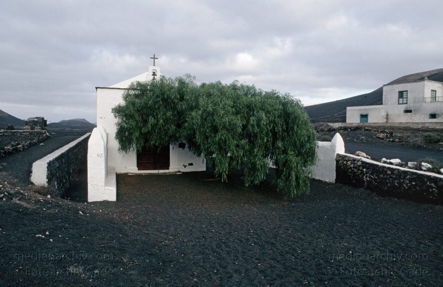 Lanzarote. Famara. La Geria
November 1994. Spanien. Kanarische Inseln. Lanzarote. Famara. La Geria
Schlüsselwörter: 1994;Canary Islands;Espana;Famara;Islas Canarias;Kanarische Inseln;La Geria;Lanzarote;Spain;Spanien
