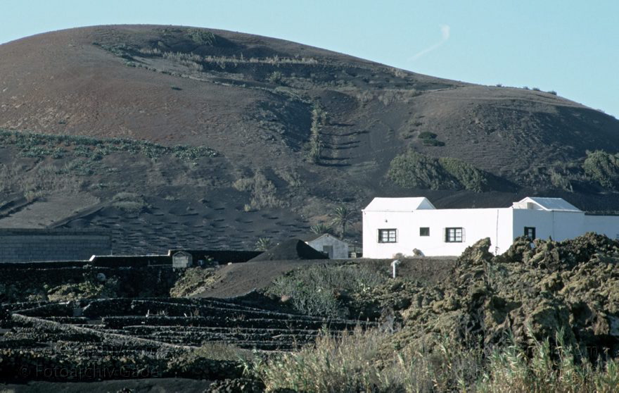 Lanzarote. Famara. La Geria
November 1994. Spanien. Kanarische Inseln. Lanzarote. Famara. La Geria
Schlüsselwörter: 1994;Canary Islands;Espana;Famara;Islas Canarias;Kanarische Inseln;La Geria;Lanzarote;Spain;Spanien