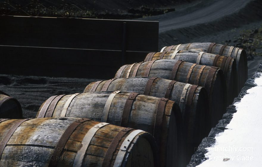 1995. Spanien. Kanarische Inseln. Lanzarote. Weinabaugebiet La Geria. Die Pflanzen werden in künstlichen Trichtern im Lavaschutt gezogen. Weinfässer
Schlüsselwörter: 1995;Fass;Kanarische Inseln;La Geria;Lanzarote;Lava;Spanien;Weinanbau;Weinreben