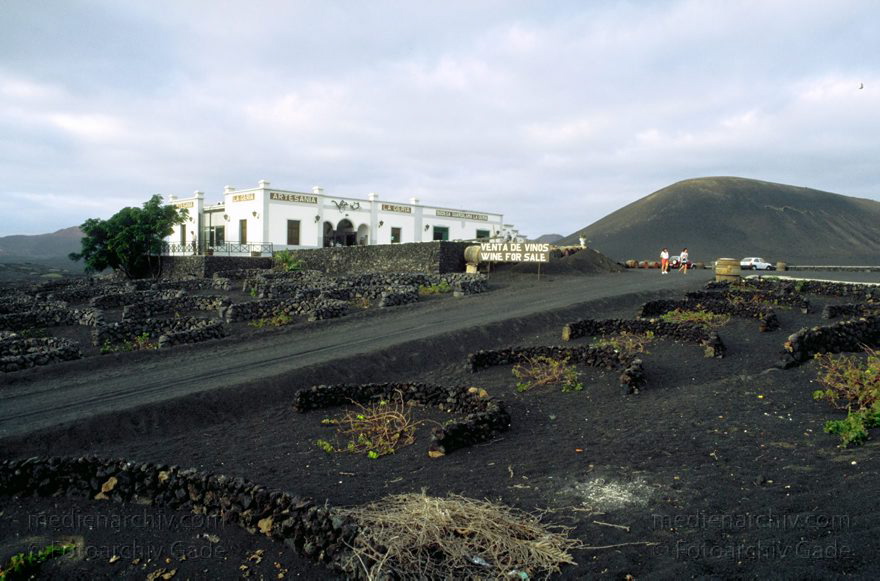 Spanien, Kanarische Inseln, Lanzarote, November 1995. Bodega im Weinanbaugebiet La Geria.
Schlüsselwörter: 1995;Kanarische Inseln;Lanzarote;Spanien;Weinanbau