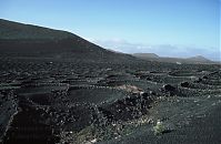 Spanien-Kanarische-Lanzarote-La-Geria-199411-148.jpg