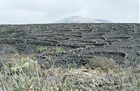 Spanien-Kanarische-Lanzarote-La-Geria-199411-159.jpg