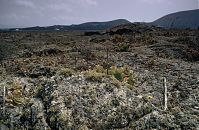Spanien-Kanarische-Lanzarote-La-Geria-199411-161.jpg
